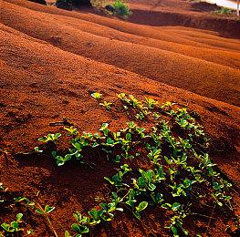 欢乐聚会游戏《节日大战》即将登陆Steam